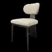 Stainless Steel Leisure Chair SY-220