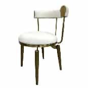 Stainless Steel Leisure Chair SY-120