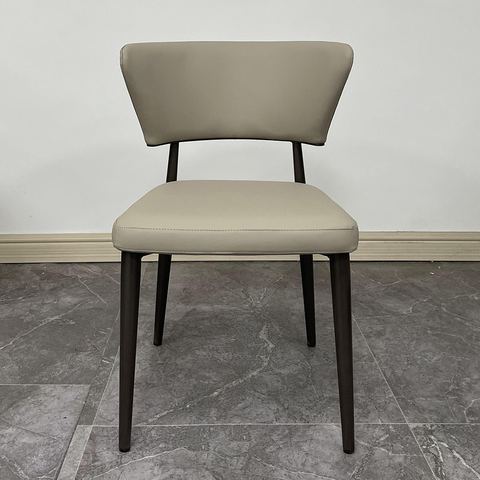 Iron Leisure Chair 2507
