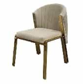 Stainless Steel Leisure Chair SY-192