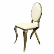 Stainless Steel Leisure Chair LH-706