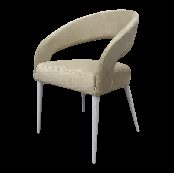 Iron Leisure Chair SY-198