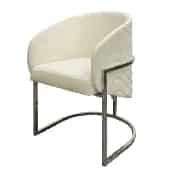 Stainless Steel Leisure Chair SF122613