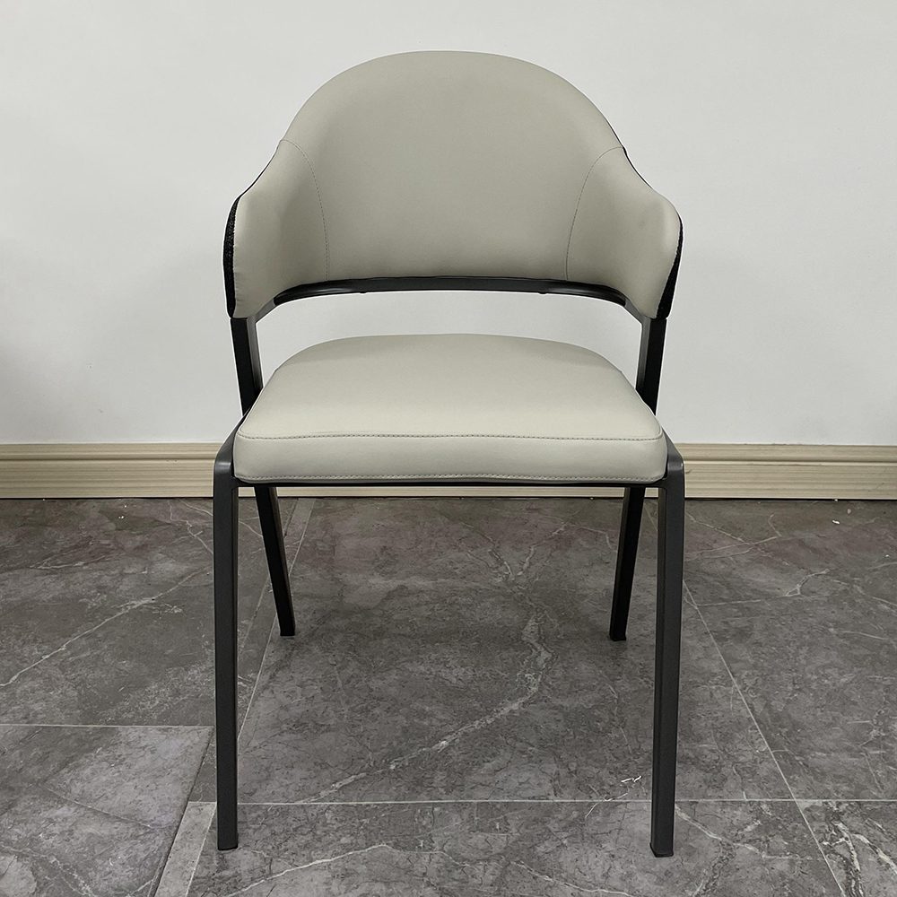 Iron Leisure Chair 2508