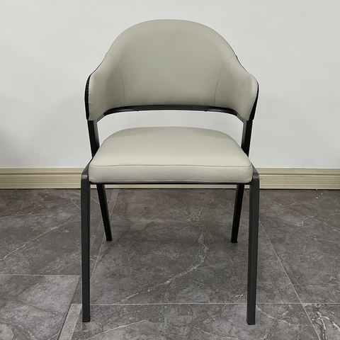 Iron Leisure Chair 2508