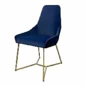 Stainless Steel Leisure Chair SY-244