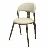 Stainless Steel Leisure Chair YJ122633