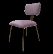 Stainless Steel Leisure Chair SY-112