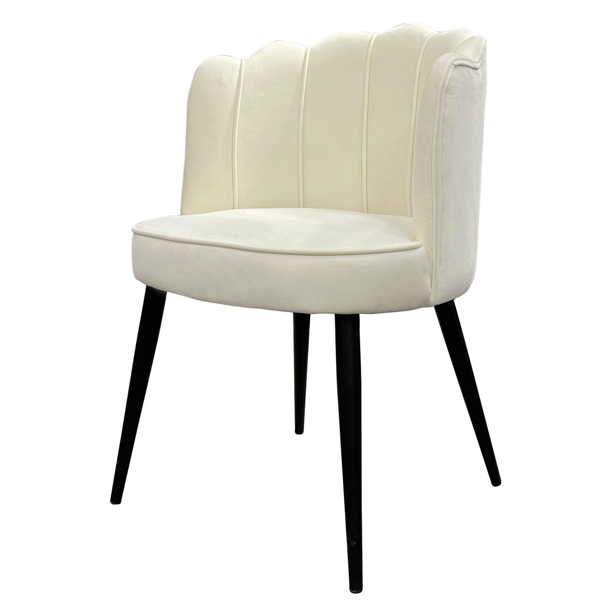 Iron Leisure Chair SY-255