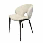 Iron Leisure Chair SY-282