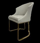 Stainless Steel Leisure Chair XWD-JY22
