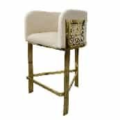 Stainless Steel Leisure Chair SY-243