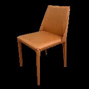 Iron Leisure Chair JYCY09