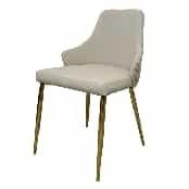 Stainless Steel Leisure Chair SY-270