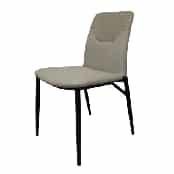 Iron Leisure Chair SY-281